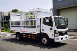 福瑞卡F6&nbsp;电动载货车外观图片