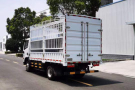 福瑞卡F6&nbsp;电动载货车外观图片