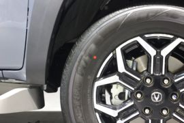 览拓者&nbsp;皮卡底盘                                                图片