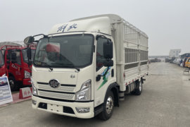 蓝途&nbsp;电动载货车外观图片