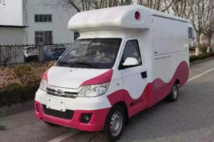 优劲 载货车