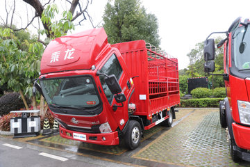 �������� ����L2 160���� 4.2�׵��Ų�դʽ�Ῠ(����)(��ʿ��8��)ͼƬ