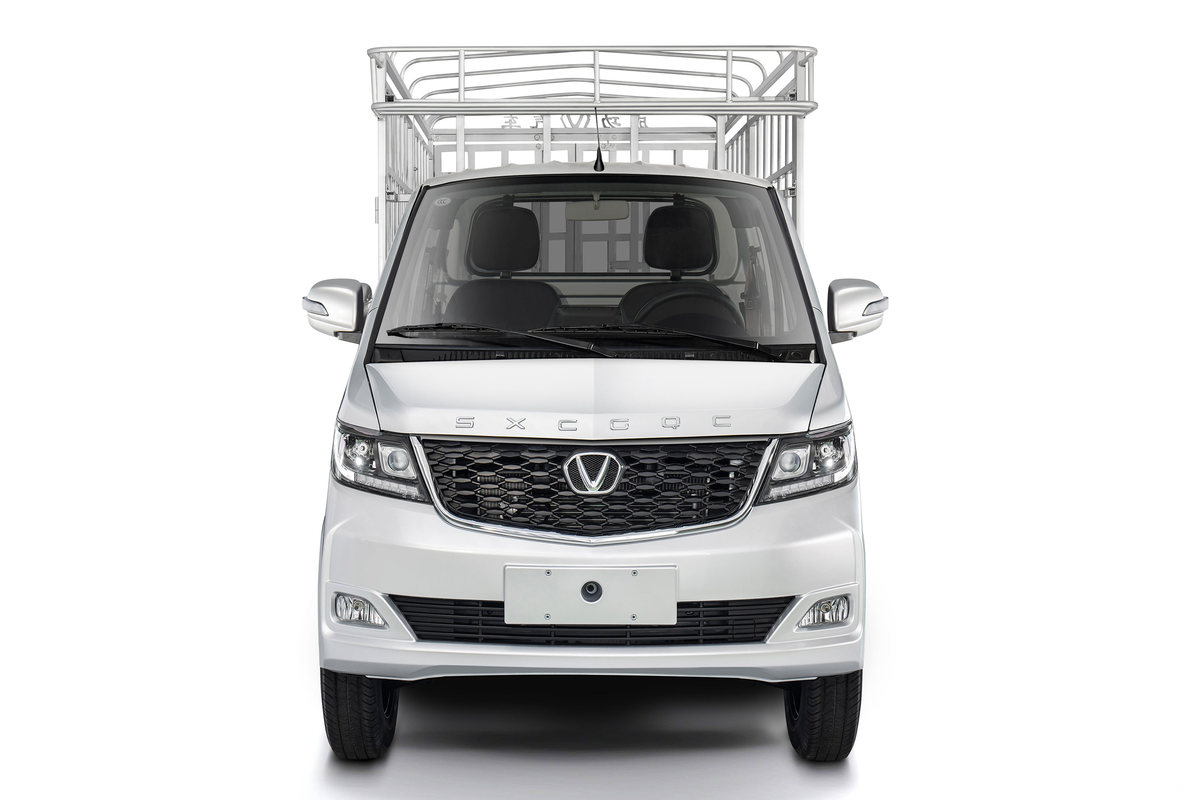 成功汽车 斑马 2025款加长宽体豪华型 1.6L CNG 105马力 2.415米双排仓栅式微卡