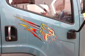 虎6G&nbsp;载货车外观                                                图片