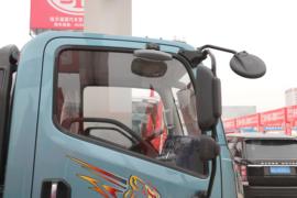 虎6G&nbsp;载货车外观                                                图片