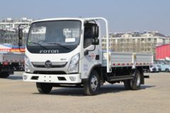 福田 奥铃新捷运 青春版 132马力 4.17米单排栏板轻卡(国六)(BJ1048V9JEA-AB2)