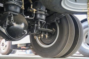 һ������ ��Ź�ʨ3ϵ 130���� 4.2�׵��������Ῠ(����)ͼƬ