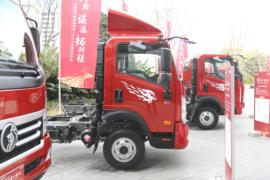 瑞狮&nbsp;载货车外观                                                图片