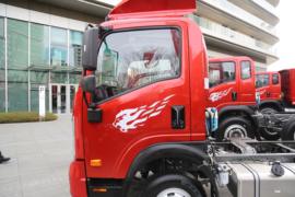 瑞狮&nbsp;载货车外观                                                图片