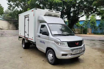 五菱 荣光新卡 2.0L 136马力 4X2 3.162米冷藏车(国六)(LQG5030XLCLGHU)