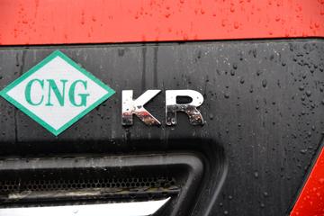 ½ KRȼ 220 4X2 6.75CNGդʽػ(ʿ8)(DFV5182CCYGP6N)ͼƬ