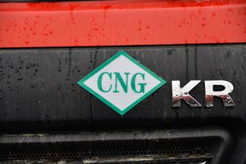 ½ KRȼ 220 4X2 6.75CNGդʽػ(ʿ8)(DFV5182CCYGP6N)ͼƬ