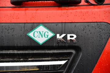 ½ KRȼ 220 4X2 6.75CNGդʽػ(ʿ8)(DFV5182CCYGP6N)ͼƬ