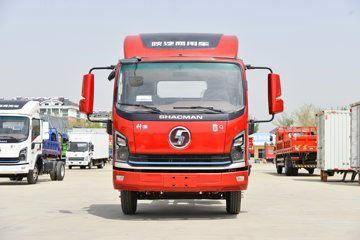 陕汽商用车 轩德翼9 标载版 160马力 4.15米AMT自动档单排仓栅式轻卡(SX5042CCYNP6331)