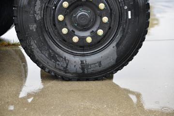 ����ʮͨ ��� 245���� 6X2 �泵��(STQ5257JSQD6)ͼƬ