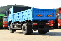 大运 风尚 复合型 245马力 4X4 4.2米自卸车(国六)(DYQ2183D6BC)