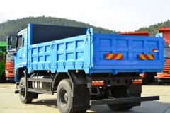 大运 风尚 复合型 245马力 4X4 4.2米自卸车(国六)(DYQ2183D6BC)