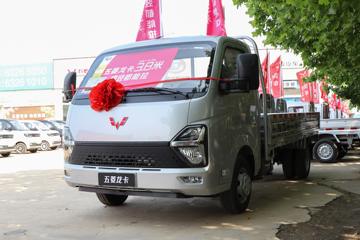 ���� ���� ������ 2.0L 136���� ���� 3.8�׵�������΢��(����)(LZW1031GHU)ͼƬ