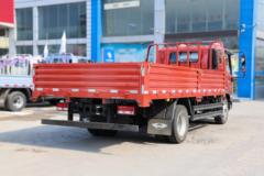 福田 时代领航ES5 170马力 4X2 4.8米排半栏板载货车(国六)(BJ1124VGPDD-05)