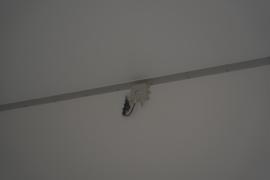 T5&nbsp;电动冷藏车上装图片