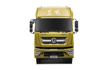  D9K  260 4X2 6.7ײդʽػ()(EQ5181CCYL9CDGAC)ͼƬ