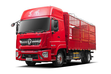 ���� ������D9K 260���� 4X2 6.545�ײ�դʽ�ػ���(����)(EQ5181CCYL9CDGAC)ͼƬ