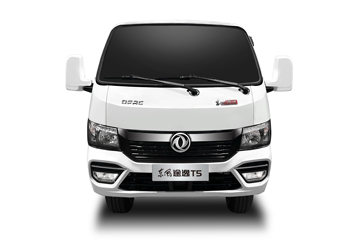 ����;�� T5 ��ȿ� ��׼�� 1.6L 105���� CNG 3.8�׵�������С��(����)ͼƬ