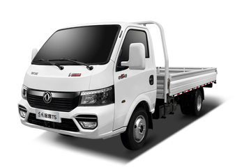 ����;�� T5 ��ȿ� ��׼�� 1.6L 105���� CNG 3.8�׵�������С��(����)ͼƬ