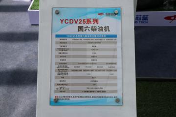 YCDV25系列&nbsp;发动机图片