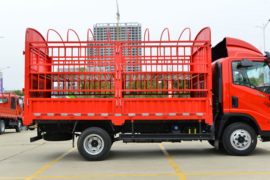 祥龙&nbsp;载货车上装                                                图片