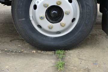 ���� ������D6-L ���ܰ����ʰ� 140���� 3.825���Ű������Ῠ(����)(�ٱ�4.875)ͼƬ