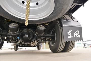 ���� ����F6 140���� 3.13��˫�������Ῠ(���̻�)(����)(EQ1040D5EDF)ͼƬ