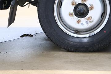 ���縣�� ��С��M5Q 1.6L 120���� ���� 3.8�׵�������΢��(����)(EQ1038S3EDF)ͼƬ