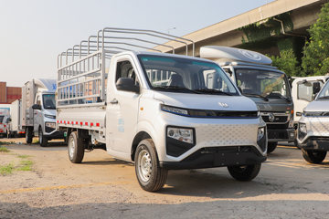远程 星享F1E 2023款 3.0T 3.2米单排纯电动仓栅式微卡(ZB5030CCYBEVGDD6)41.86kWh