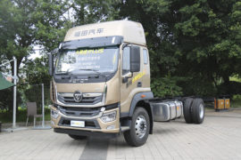 奥铃大黄蜂&nbsp;载货车外观                                                图片