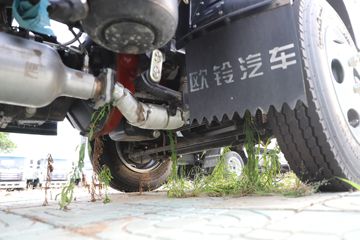 ŷ������ С���� ���а� 95���� 4X2 2.95�׵�����ж��ͼƬ