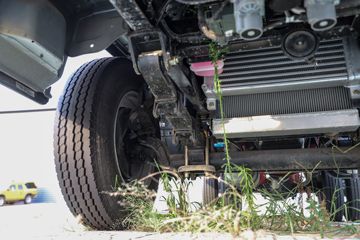 ŷ������ С���� ���а� 95���� 4X2 2.95�׵�����ж��ͼƬ