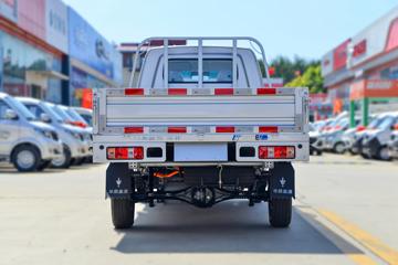 新海豚EV&nbsp;电动载货车外观图片