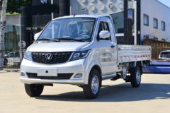 成功斑马 载货车