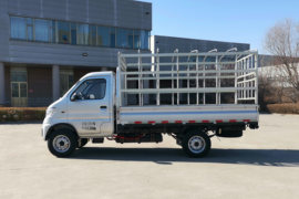 锐腾EV&nbsp;电动载货车外观图片