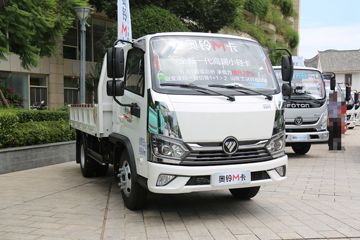 福田 奥铃M卡 132马力 3.39米排半栏板小卡(气刹)(BJ1074VEJBA-AA1)