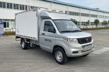 五菱 荣光新卡 2.0L 136马力 汽油 4X2 3.075米冷藏车(后单胎)(LQG5028XLCGHU)
