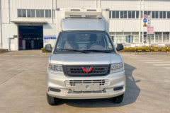 五菱 荣光新卡 2.0L 136马力 4X2 3.162米冷藏车(国六)(LQG5030XLCLGHU)