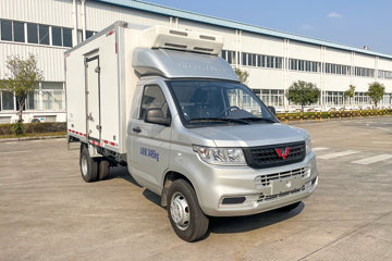 五菱荣光新卡&nbsp;冷藏车外观图片