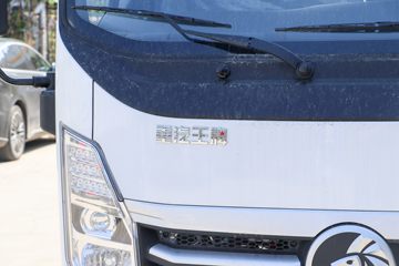 �������� ��ʨ 4.5T 4.15�׵��Ŵ��綯��ʽ�ῨͼƬ