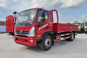 福田 奥铃大黄蜂 MINI版 190马力 4.8米排半栏板载货车(BJ1188VKPEG-AD1)