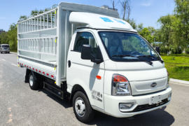 骏航EV2&nbsp;电动载货车外观图片