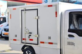 仁T10&nbsp;电动载货车上装图片