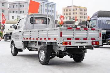 成功斑马&nbsp;载货车外观                                                图片