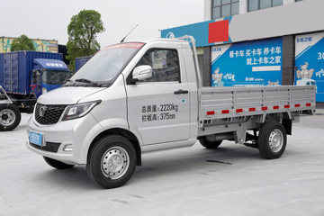 成功斑马&nbsp;载货车外观                                                图片